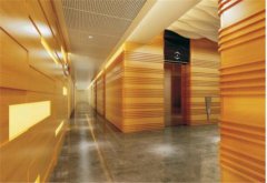 木紋鋁幕墻 木紋鋁幕墻